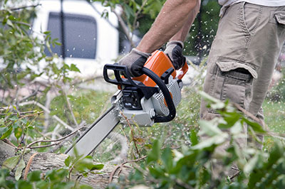 new braunfels tree service pros emergency tree service
