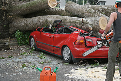 new braunfels tree service pros emergency tree service